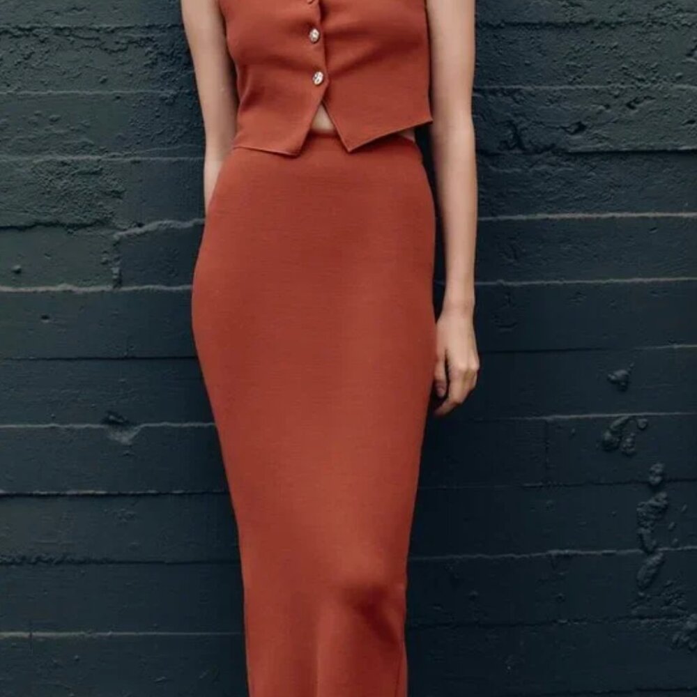 Zara Rust Midi Skirt